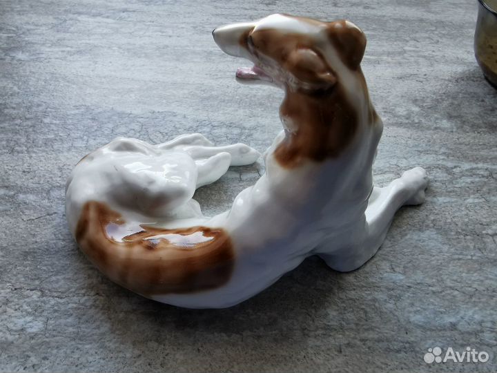 Русская борзая лфз