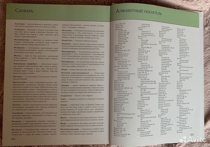 Детская энциклопедия