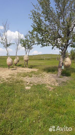 Рептух-кормушка-сетка для сена и поводок (чомбур)