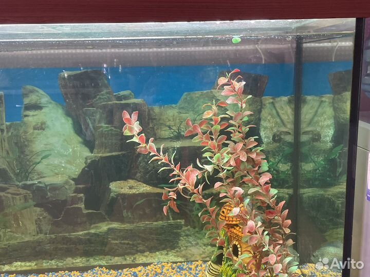 Аквариум с тумбой 200 литров