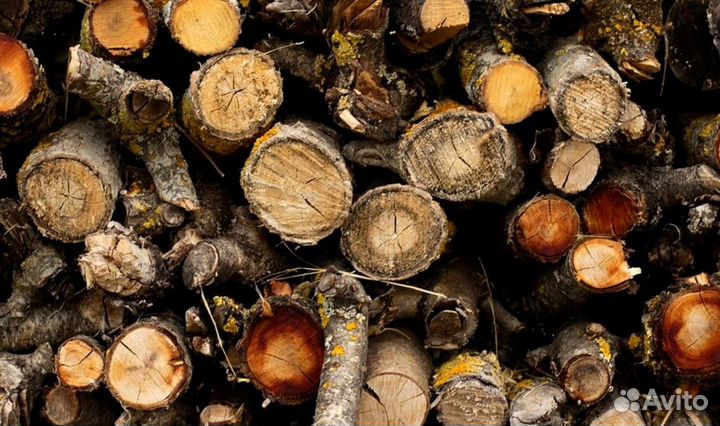 Дрова образцовые