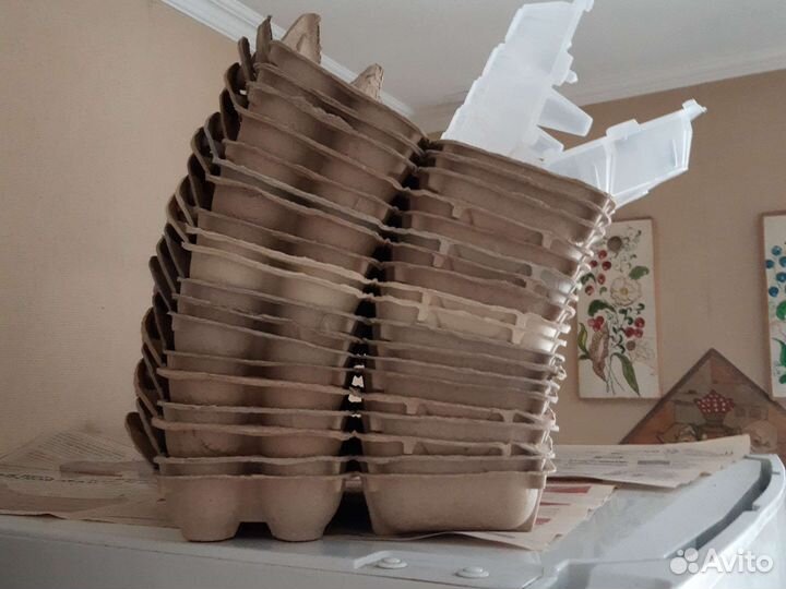 Лотки для яиц