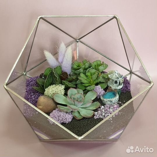 Флорариум. Подарок на день рождения