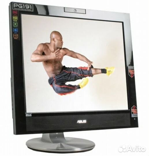 Монитор Asus PG191, Аудиосистема, веб-камера