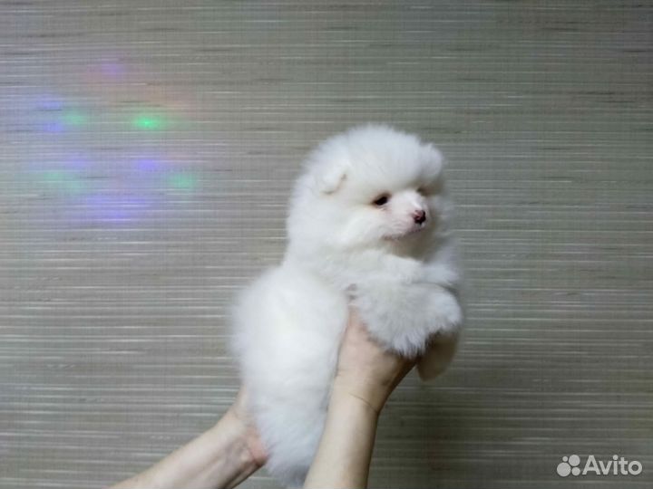 Белое облачко)