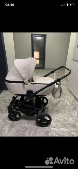 Коляска adamex reggio