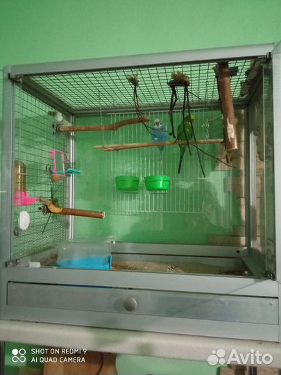 Клетка-витрина для мелких птиц и грызунов