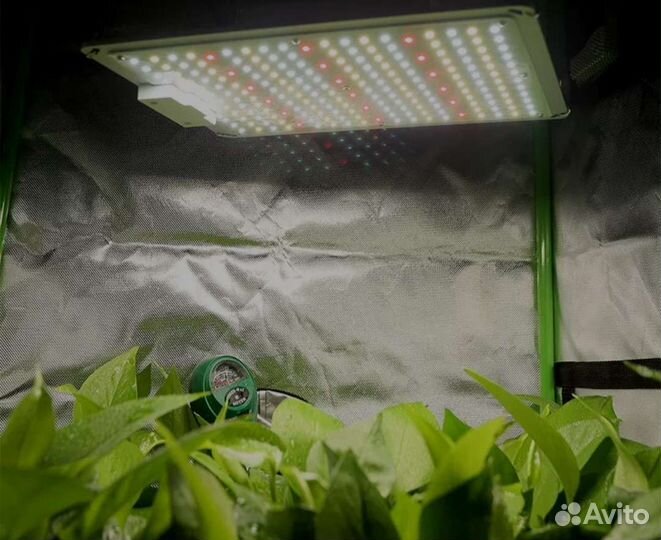 Фитолампа 100 вт, Quantum board, полного спектра