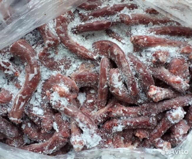 Шеи куриные