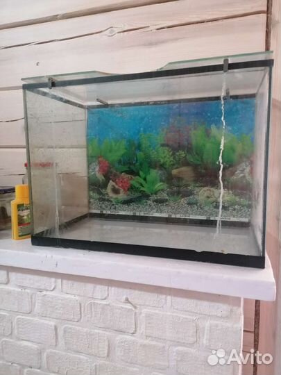 Аквариум