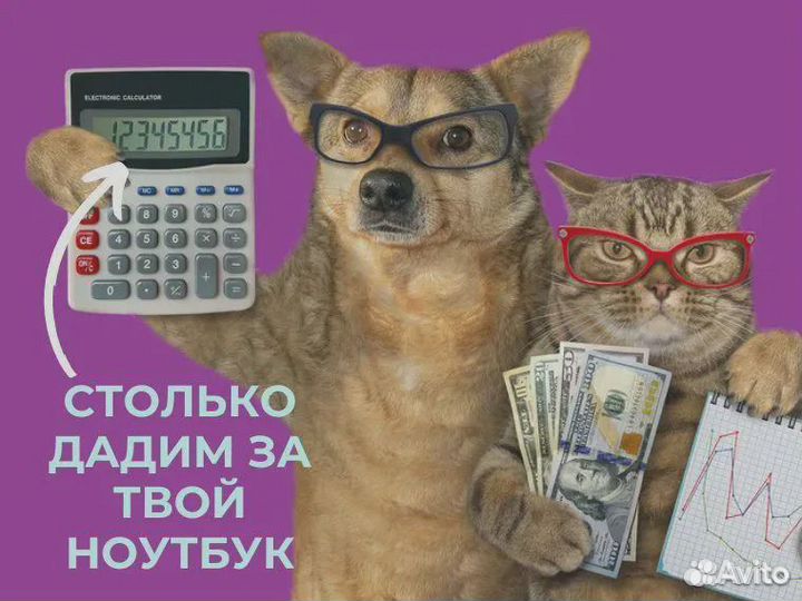 Лучшие ноутбуки Игроманам, дизайнерам, фрилансерам