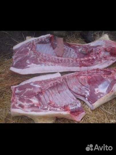 Мясо свинина домашняя