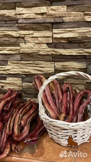 Лакомства для собак