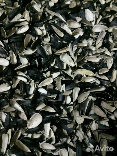 Семечки, Шелуха, Лузга, Подсолнечник