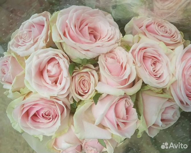 Букет невесты