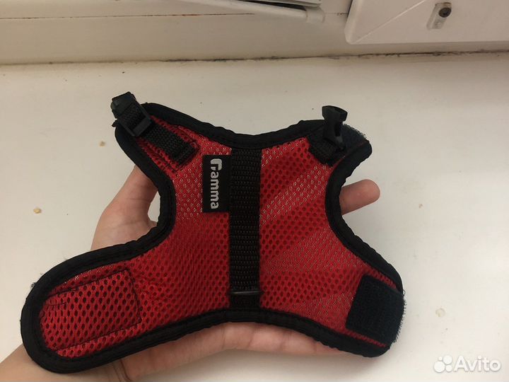 Шлейка для крыски