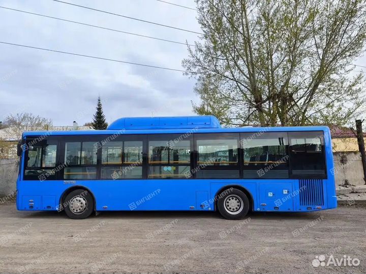 Городской автобус Zhong Tong LCK6105HGC, 2023