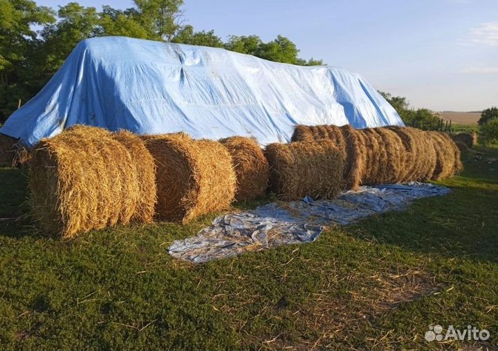 Сено, солома, люцерна