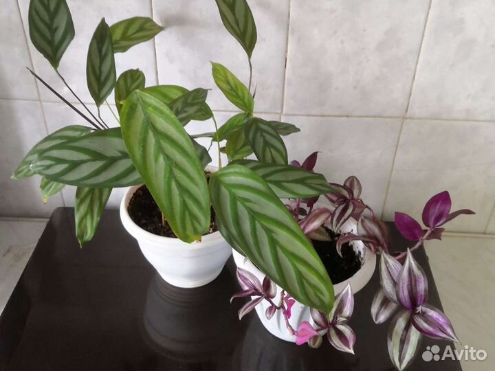 Кармашки для цветов