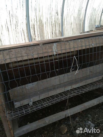 Клетки для перепелов бу