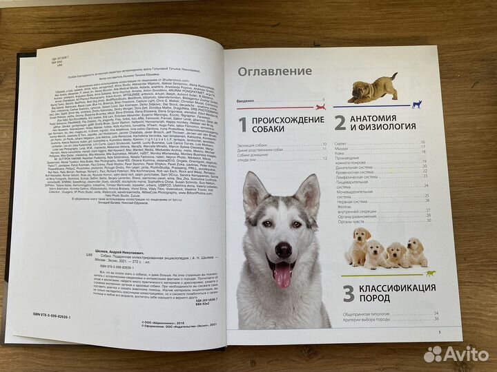 Собаки. Подарочная иллюстрированная энциклопедия