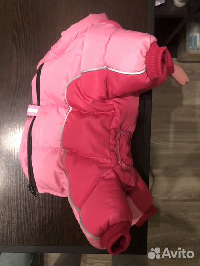 Одежда для собак мелких пород