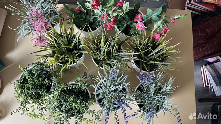 Декоративные растения IKEA кашпо socker