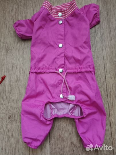 Одежда для собаки