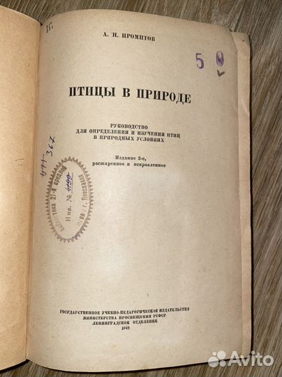 А. Промптов / Птицы в природе