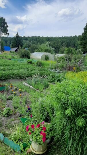 Участок 7,4 сот. (СНТ, ДНП)