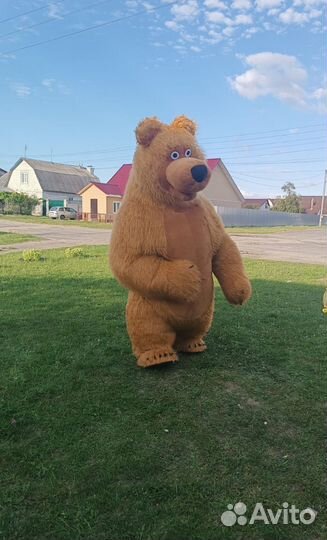 Поздравление бурого медведя