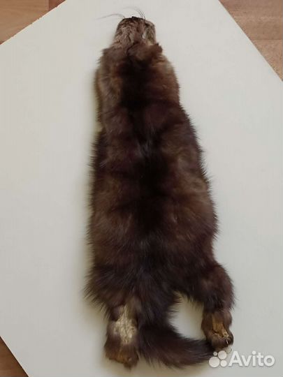 Соболиная шкура