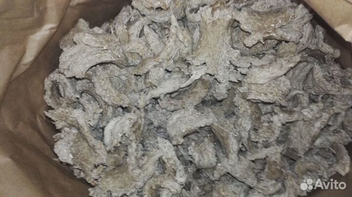 Собачий корм 