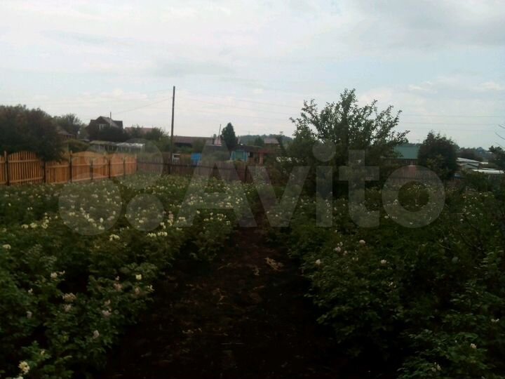 Участок 10 сот. (СНТ, ДНП)