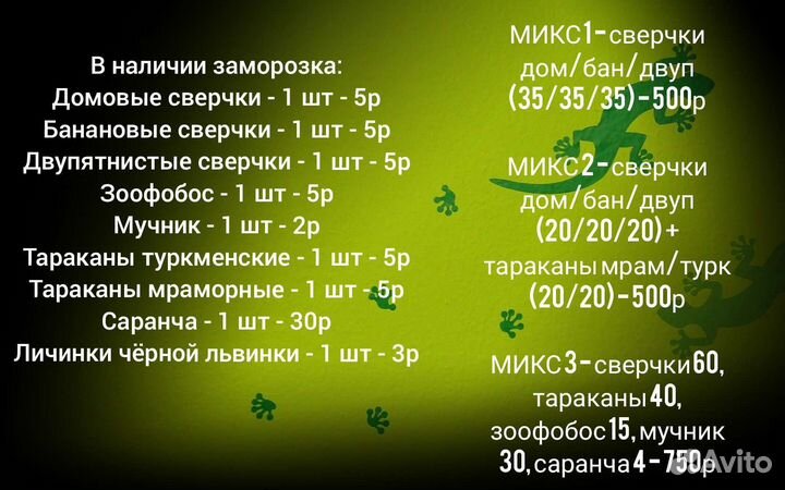 Кормовые насекомые, сверчки, тараканы