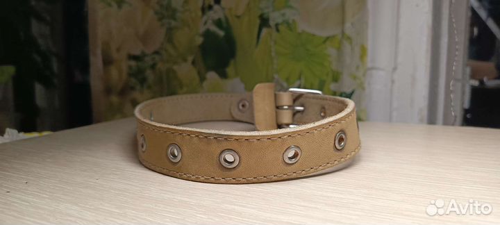 Ошейник для собак