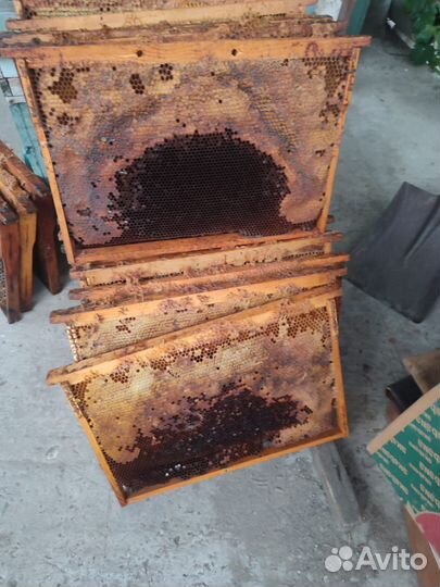 Рамки для пчел, сушь, лежаки для ульев