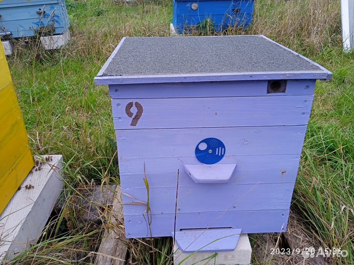 Продам пчелосемьи