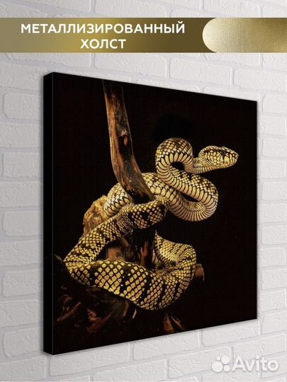 Картина на холсте, новая (50:50)