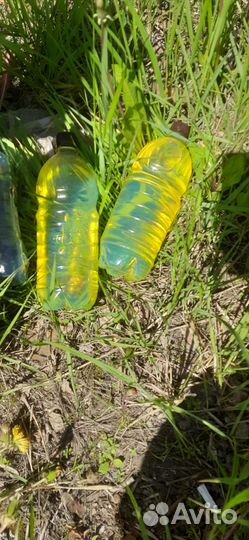 Дизельное Топливо Солярка Евро 5 Евро 3 Дизель ГОС