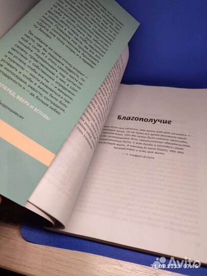 Книга: Хаффингтон Арианна 