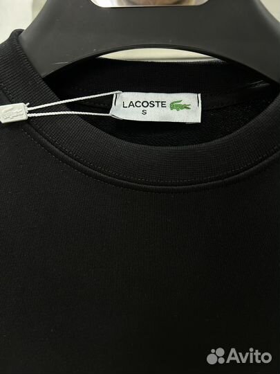 Свитшот мужской Lacoste премиум