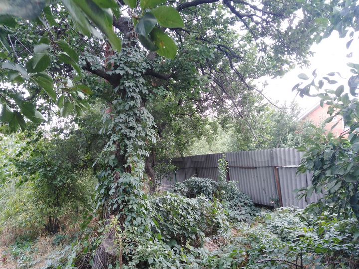 Дом 68,5 м² на участке 6 сот.