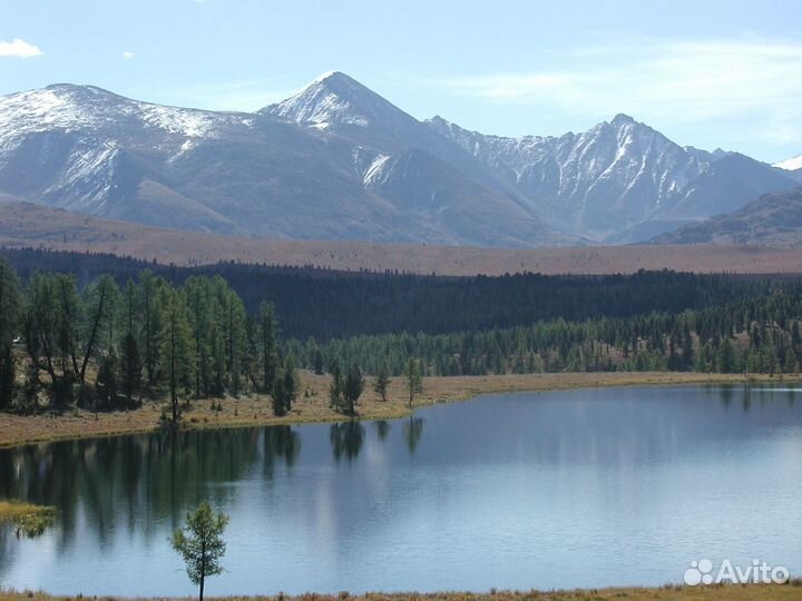 Автопутешествия