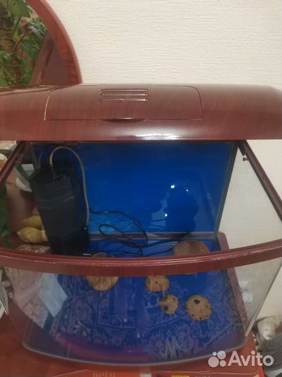 Аквариум 60 л