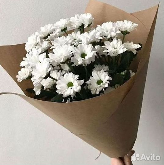 Хризантема Доставка цветов Букеты
