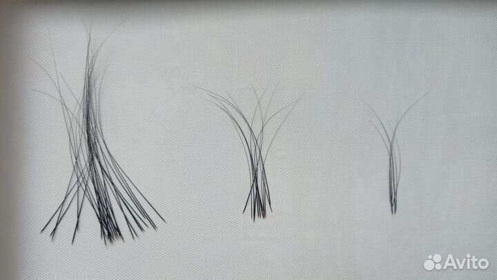 Усы кота и шиншиллы