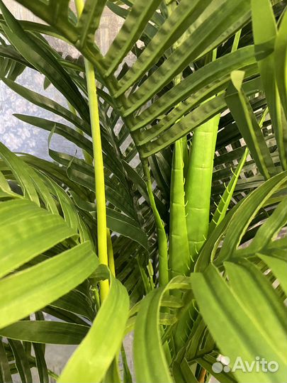Искусственные деревья Искусственная Пальма