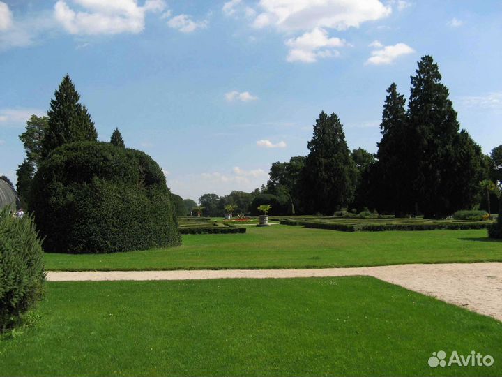 Укладка и продажа газона