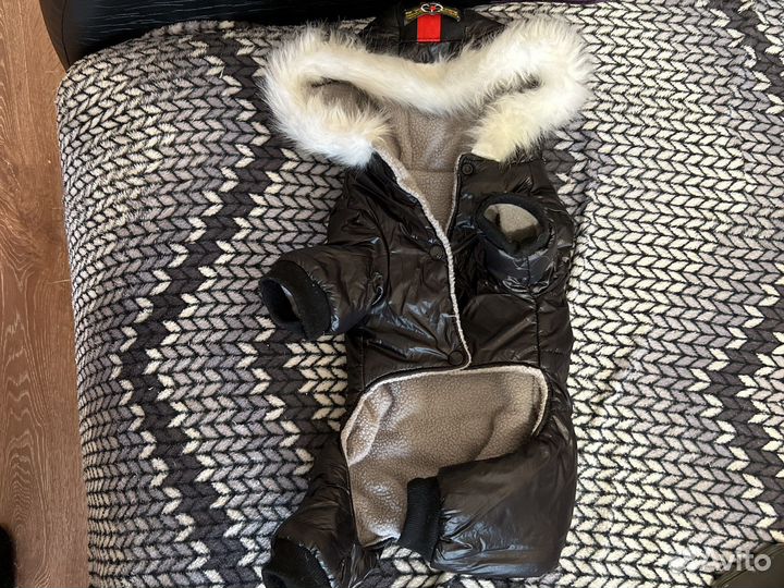 Костюм для мелькой собаки